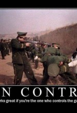 gun control works
